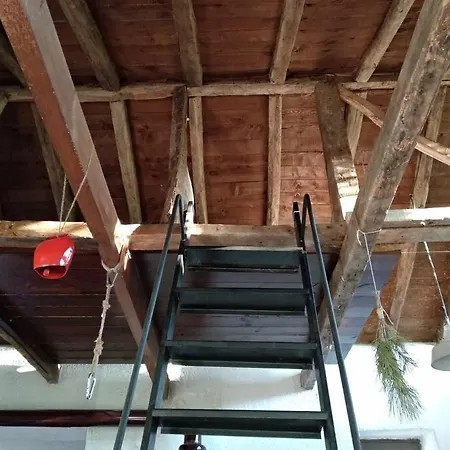 Dendrocopos Medius Prázdninový dům *