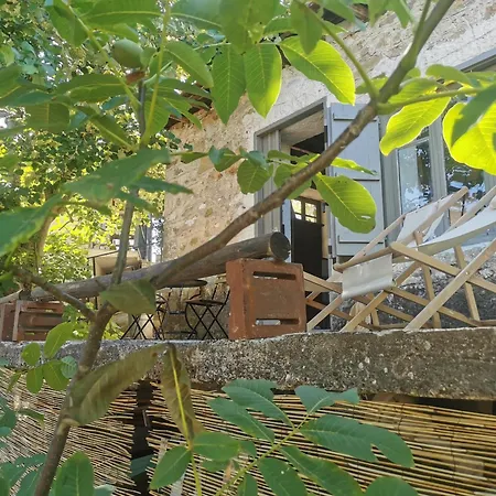 Dendrocopos Medius *