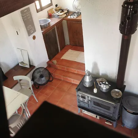 Dendrocopos Medius Arnaía