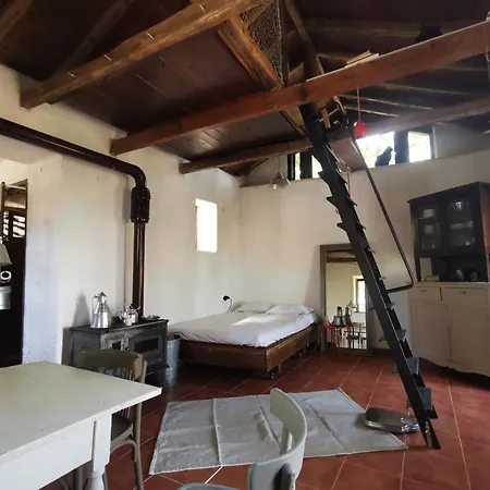 Dendrocopos Medius Arnaía