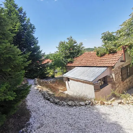 Dendrocopos Medius Prázdninový dům