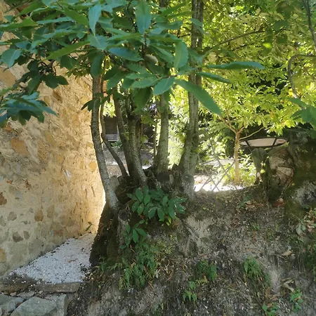 Prázdninový dům Dendrocopos Medius