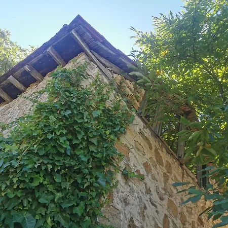 Prázdninový dům Dendrocopos Medius *