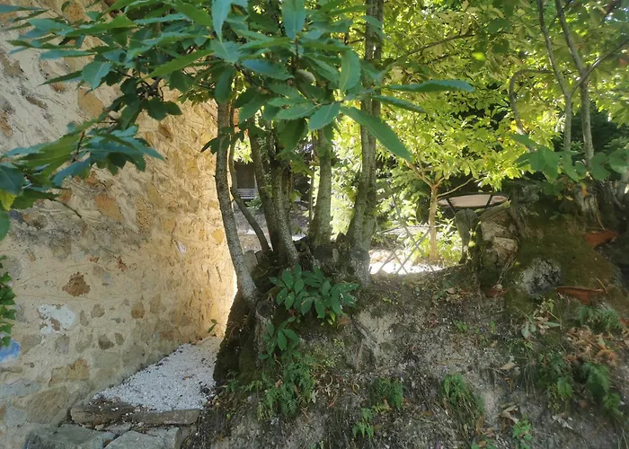 بيت للعطل Dendrocopos Medius